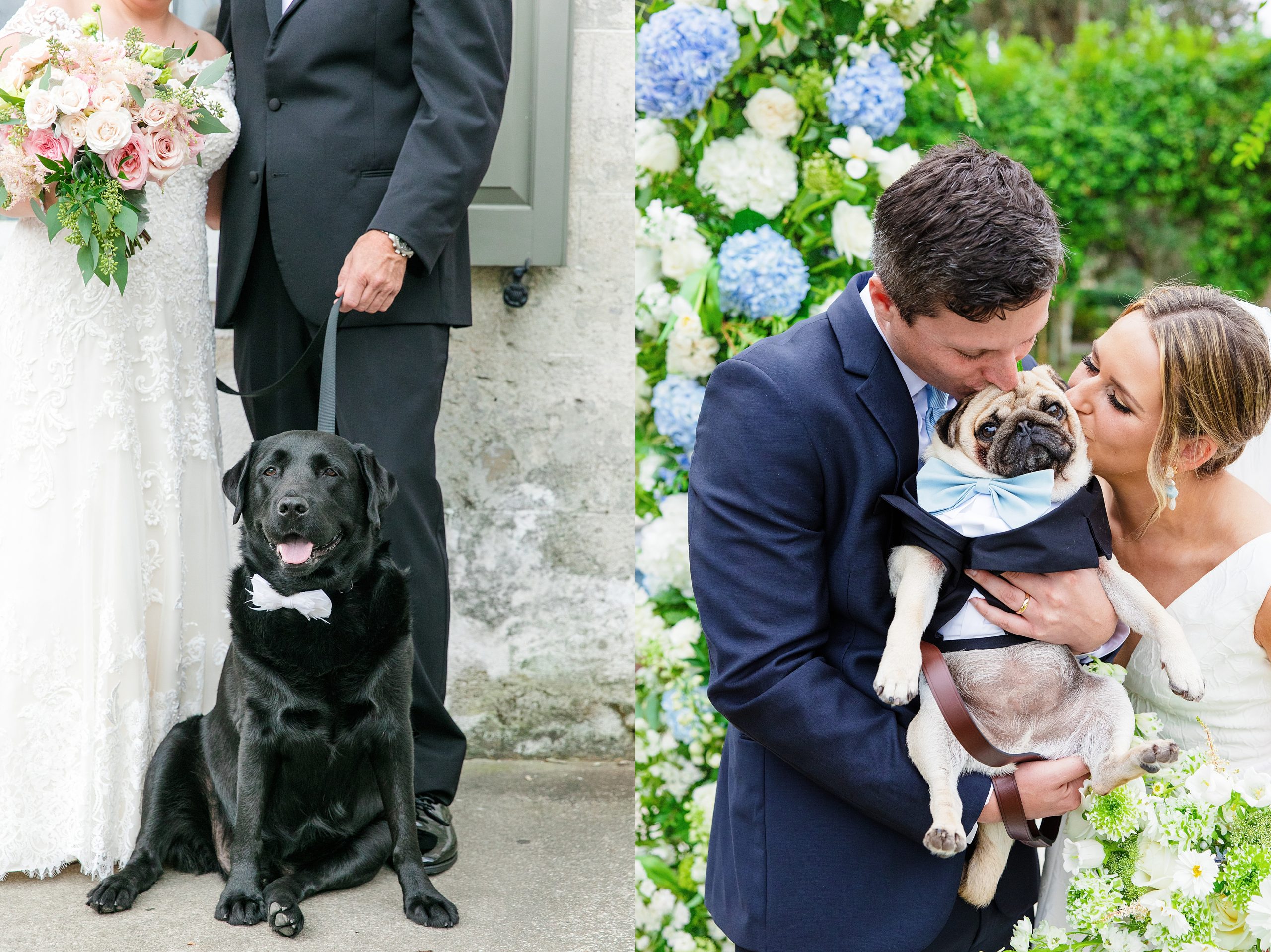 include your dog in your wedding