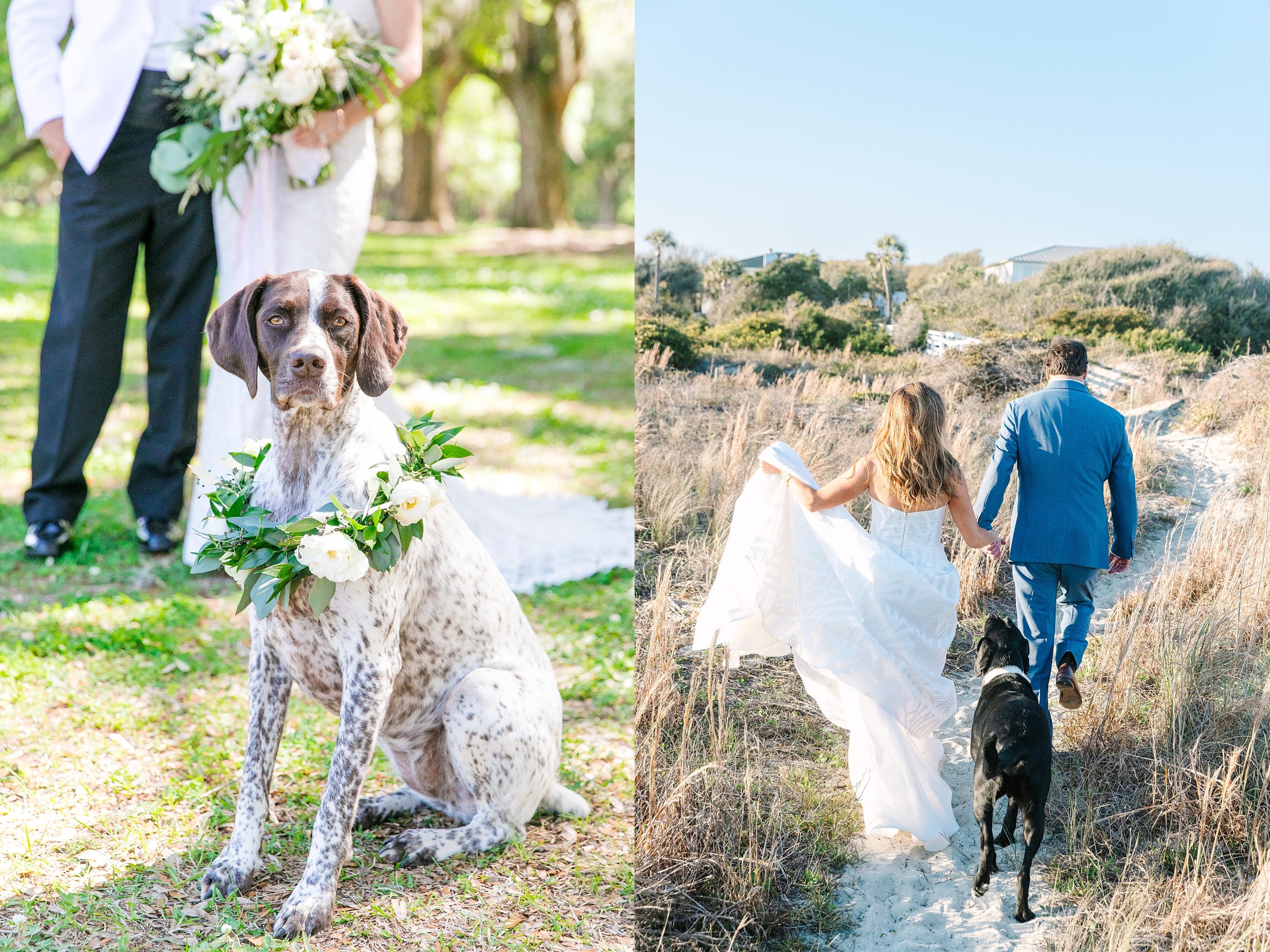how to include your dog in wedding