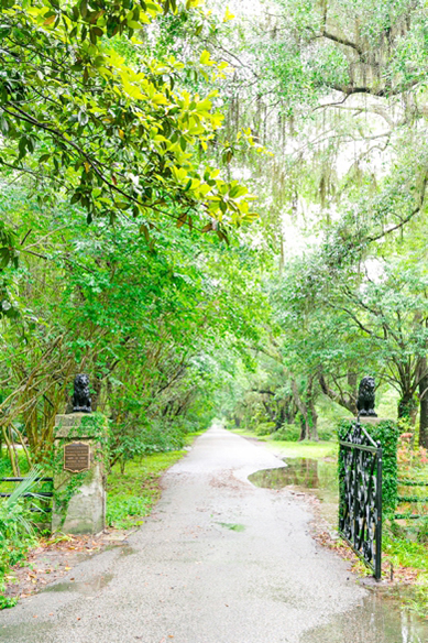 Pastel-Magnolia-Plantation-Veranda-Wedding_0020