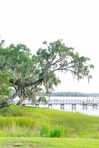 Yellow-Navy-Oak-Pointe-Plantation-Wedding_0163