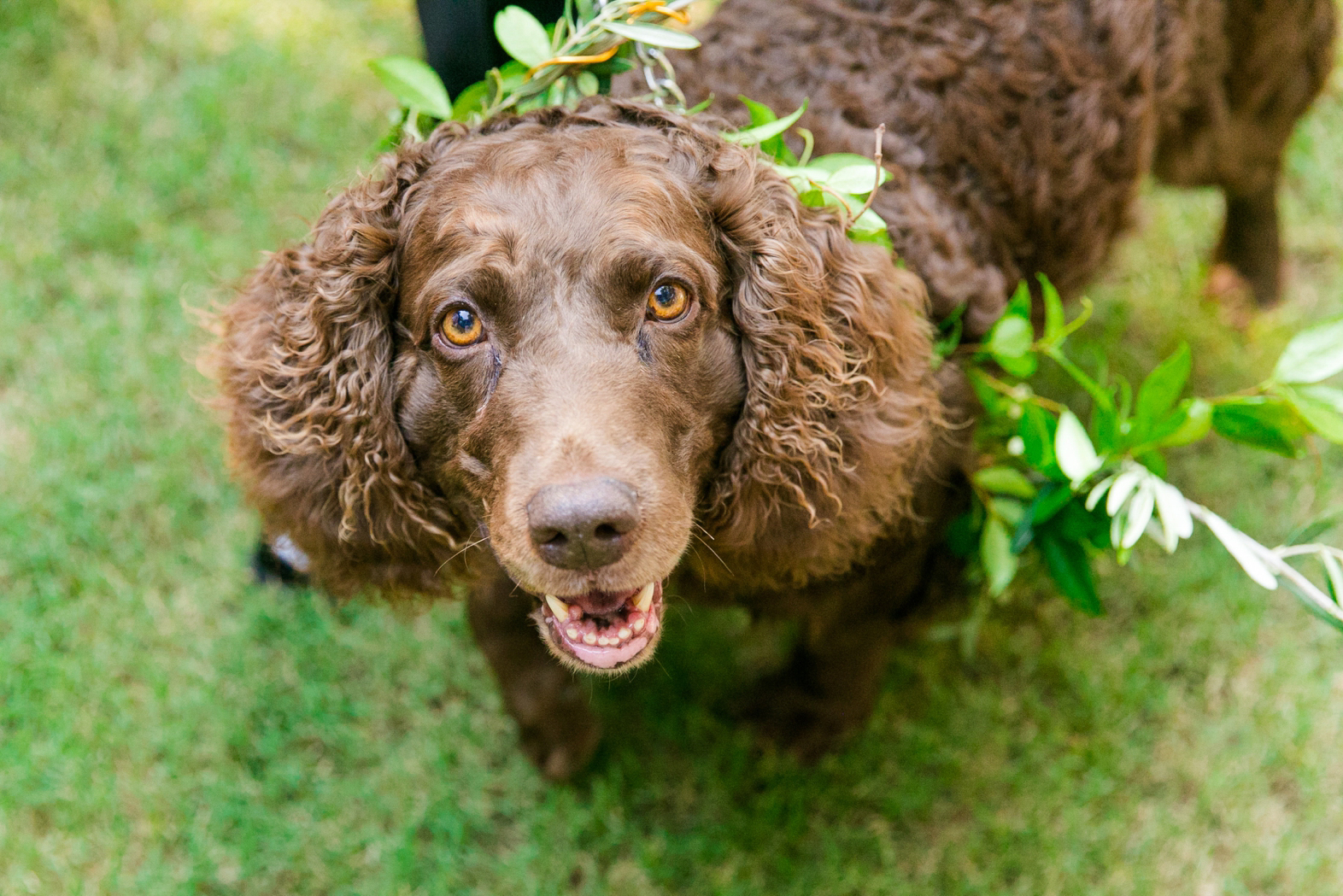 Classic-Thomas-Bennett-House-Wedding_0072