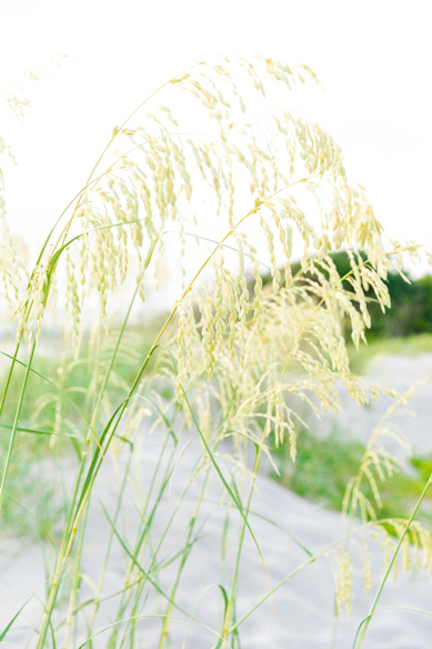 Sunrise-Engagement-Session-Folly-Beach-Boone-Hall_0022