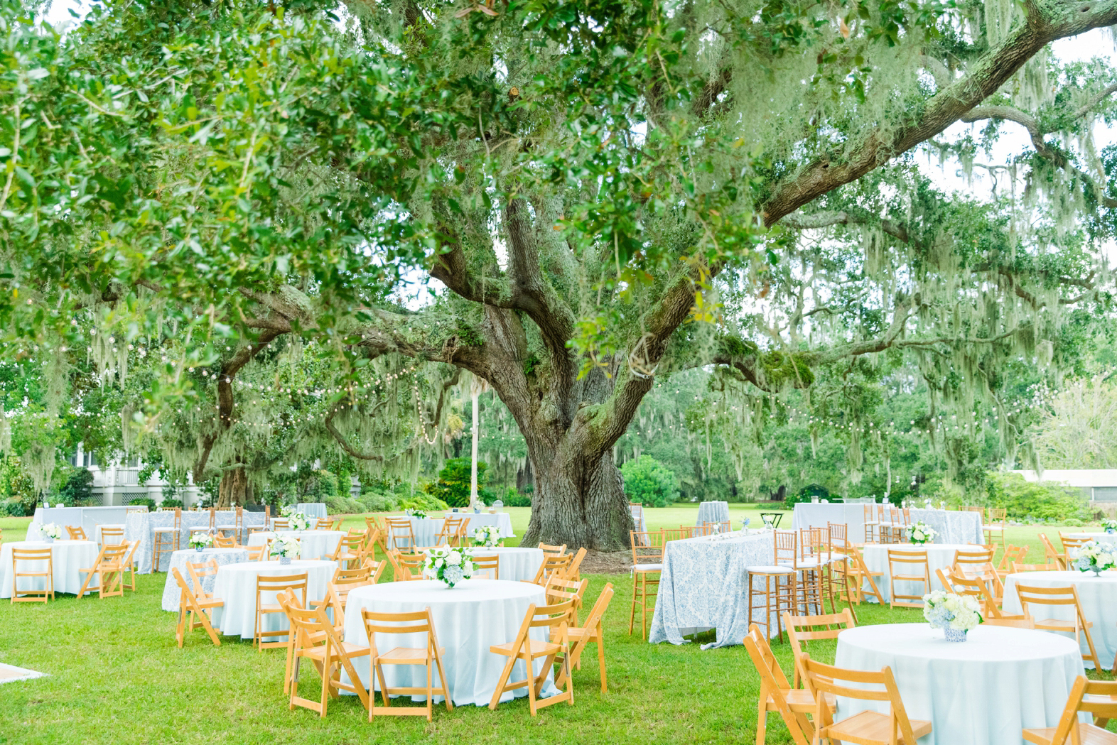 Cypress Trees Plantation Edisto SC Wedding